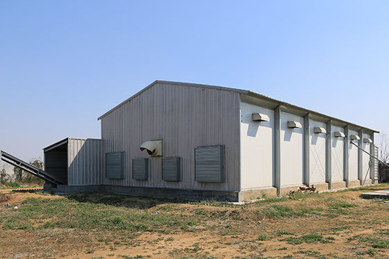 Pre-Engenharia de aço casa de frango Q355B tubo quadrado e secção H